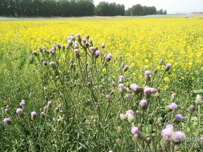 【出游記】+騎上我心愛的小摩托
