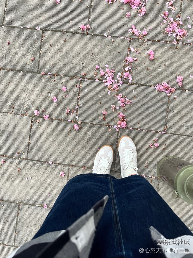 【打工人，520】打工人日常摸魚的一天