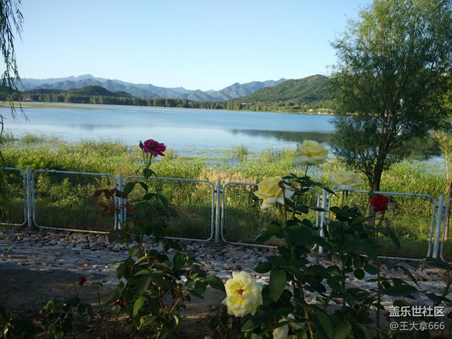 【出游記】+騎上我心愛的小摩托