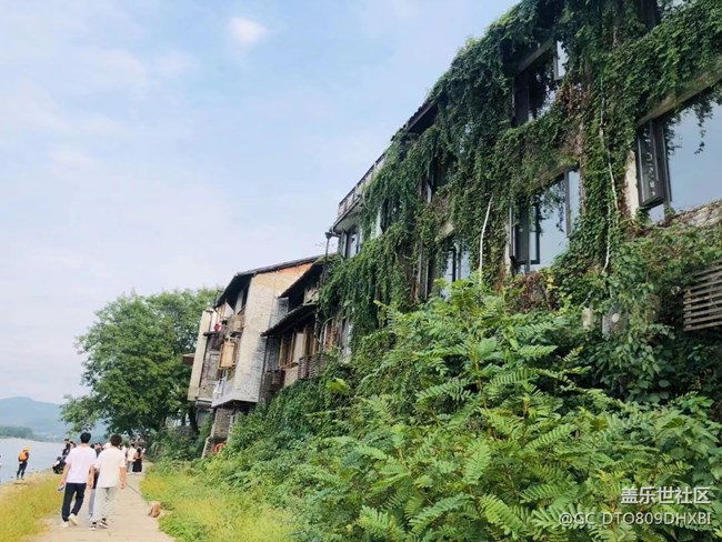 【出游記】旅游