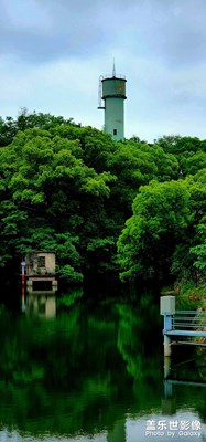 初夏的味道