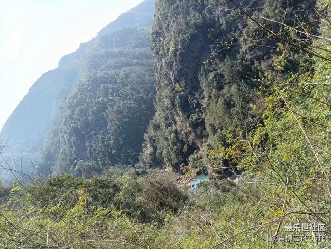 【打工人，520】勞動(dòng)光榮