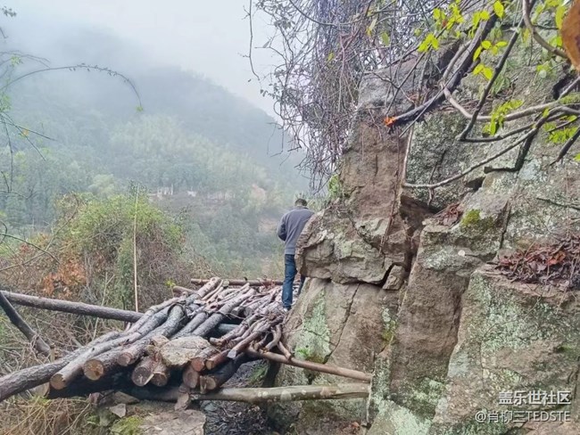 【打工人，520】勞動(dòng)光榮