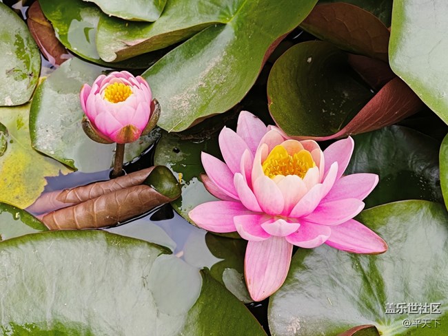 北京星部落五月線下活動(dòng)---暢游北小河公園