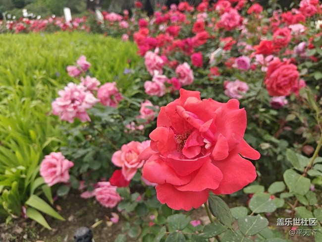 北京星部落五月線下活動(dòng)---暢游北小河公園