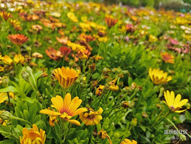北京星部落五月線下活動(dòng)---暢游北小河公園