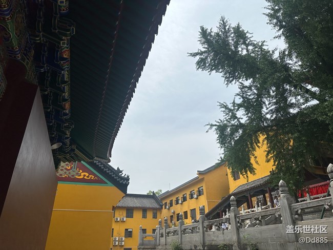 【寶通寺攝影活動】吸氧