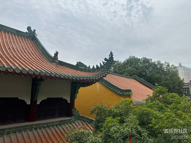 【寶通寺攝影活動】吸氧