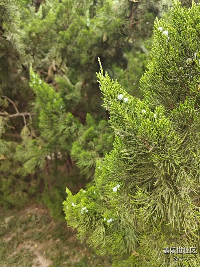 北京星部落五月線下活動(dòng)---暢游北小河公園