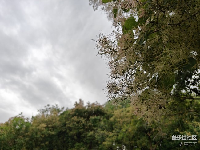 北京星部落五月線下活動(dòng)---暢游北小河公園