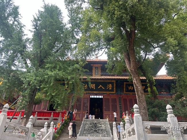 【寶通寺攝影活動】吸氧