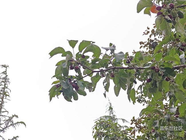 北京星部落五月線下活動(dòng)---暢游北小河公園