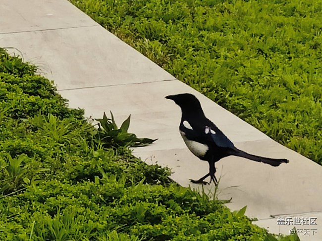 北京星部落五月線下活動(dòng)---暢游北小河公園