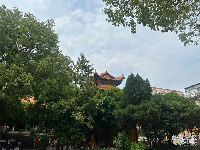 【寶通寺攝影活動】吸氧