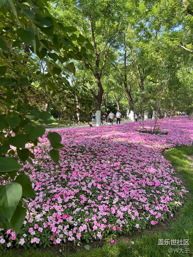 【出游記】+大運(yùn)河森林公園