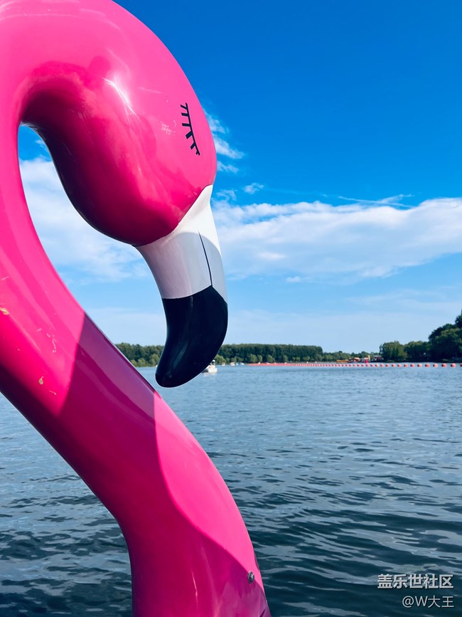 【出游記】+大運(yùn)河森林公園