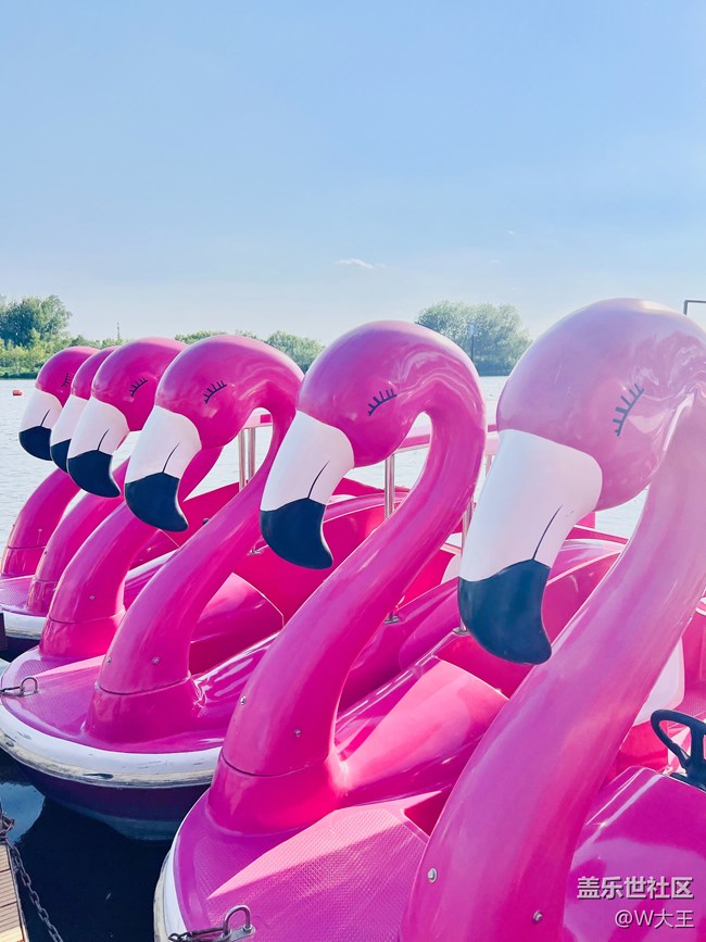 【出游記】+大運(yùn)河森林公園