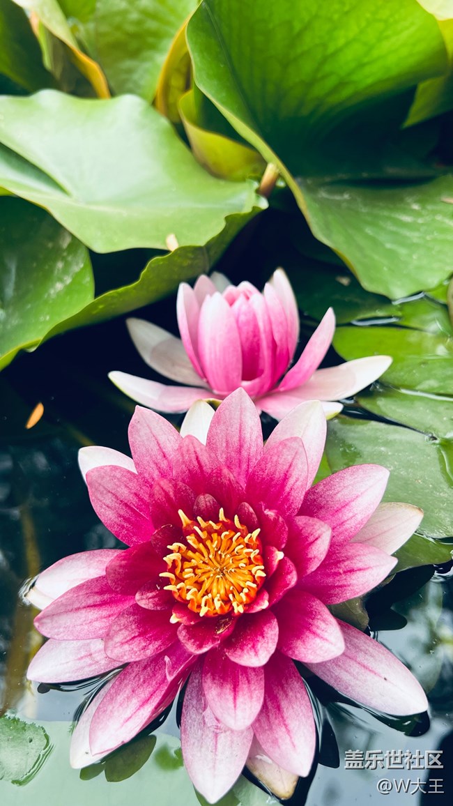 北京星部落五月線下活動(dòng)——望京北小河公園