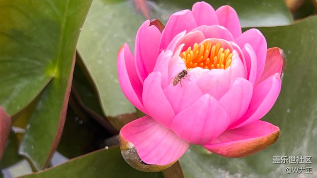 北京星部落五月線下活動(dòng)——望京北小河公園