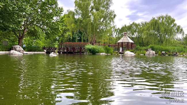 北京星部落五月線下活動(dòng)——望京北小河公園