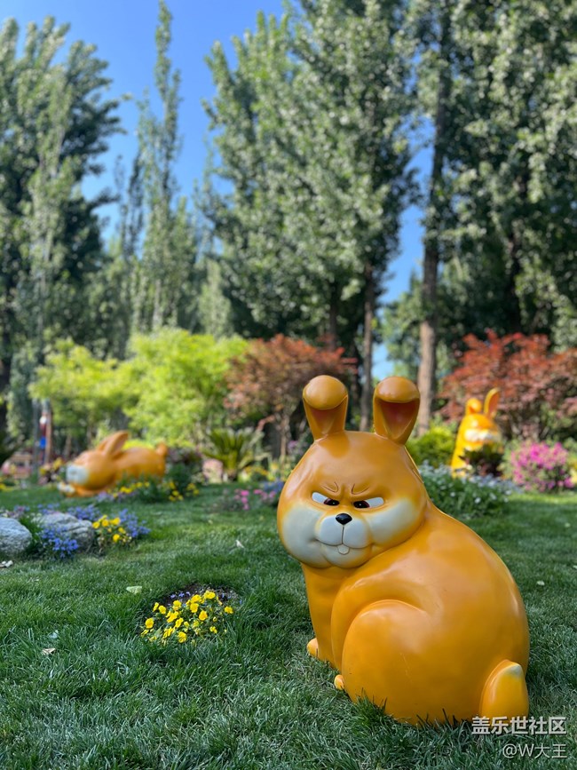 【出游記】+大運(yùn)河森林公園