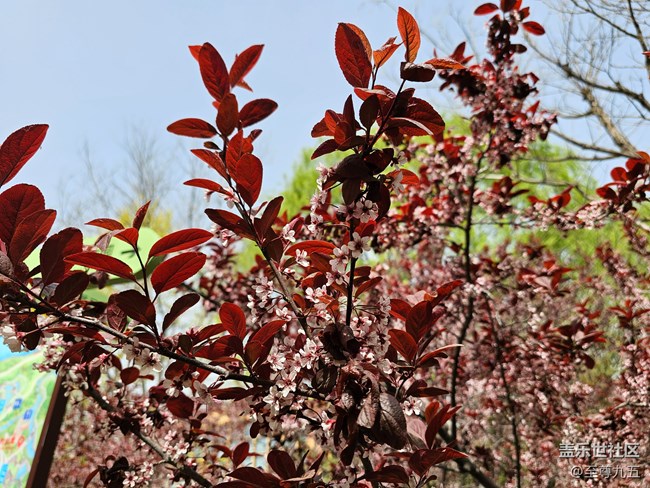 Galaxy S23 Ultra輕體驗