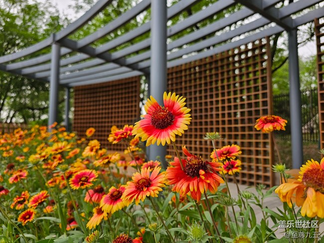 Galaxy S23 Ultra輕體驗