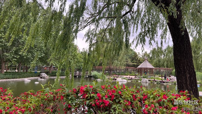 北京星部落五月線下活動(dòng)——望京北小河公園