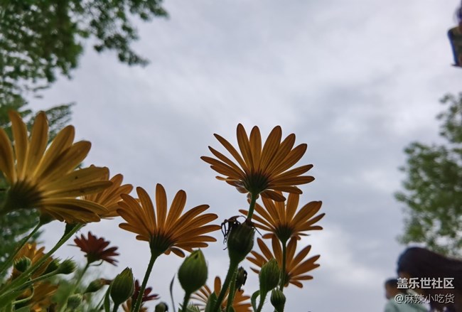 美食 美食 朋友，齊聚北小河公園——北京星部落五月線下活動(dòng)
