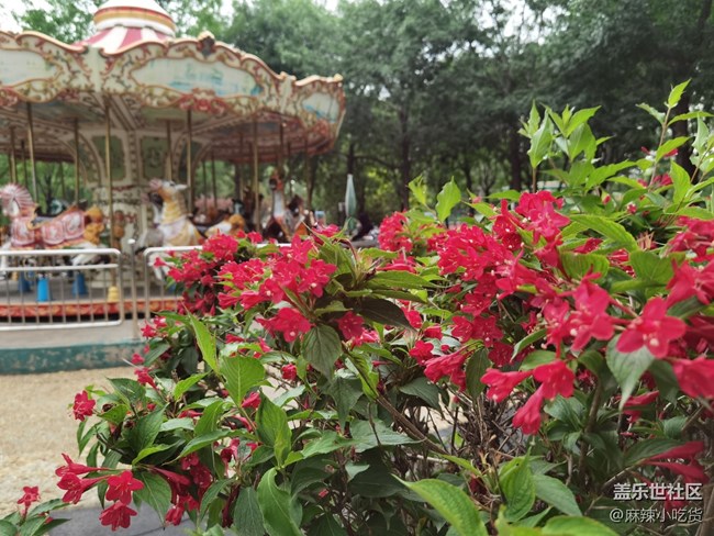 美食 美食 朋友，齊聚北小河公園——北京星部落五月線下活動(dòng)