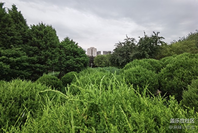 美食 美食 朋友，齊聚北小河公園——北京星部落五月線下活動(dòng)