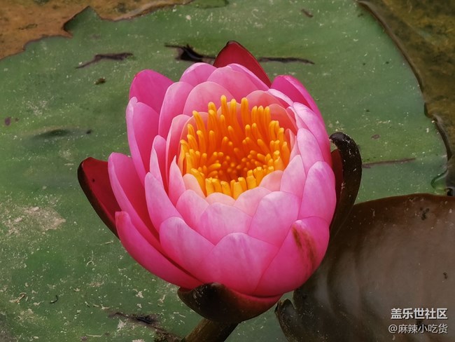 美食 美食 朋友，齊聚北小河公園——北京星部落五月線下活動(dòng)