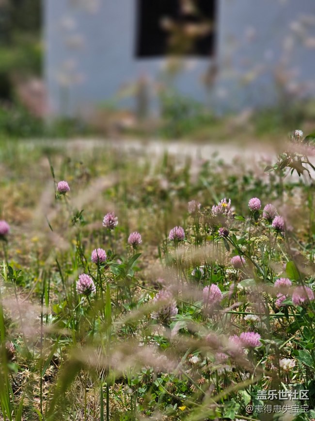 #假期掠影——縹緲?lè)? title=