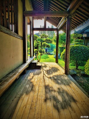 【陽光燦爛的日子】+無限的光芒