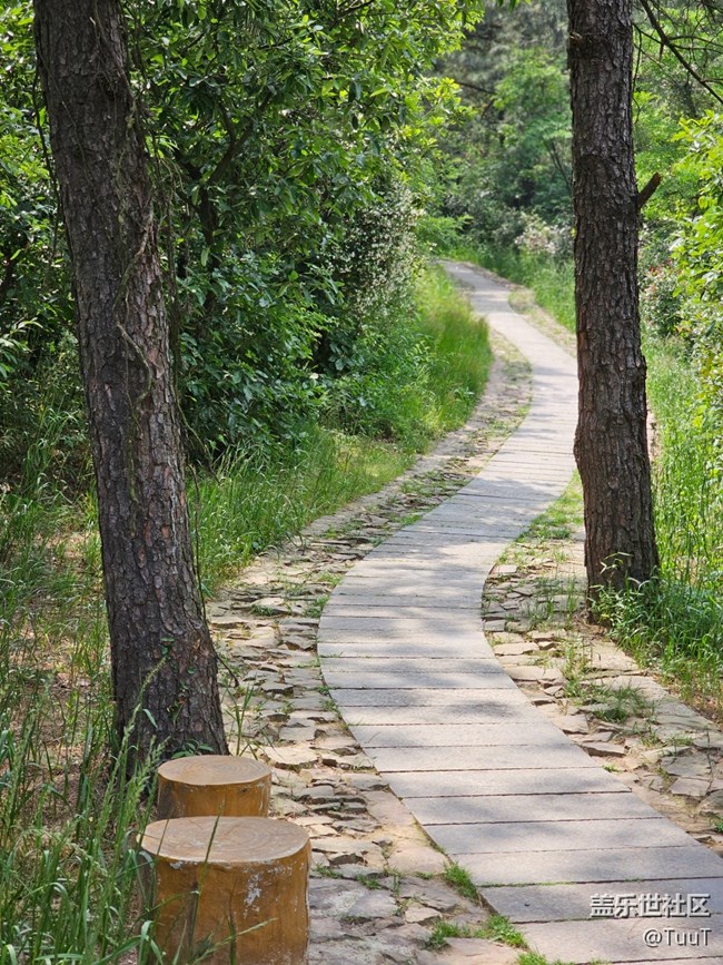 #假期掠影——登山路上