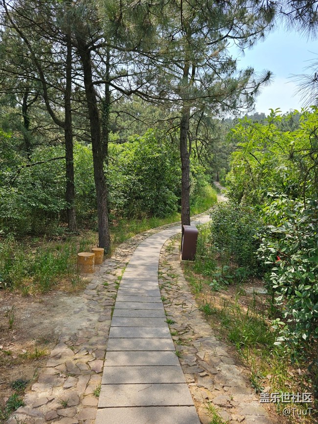 #假期掠影——登山路上