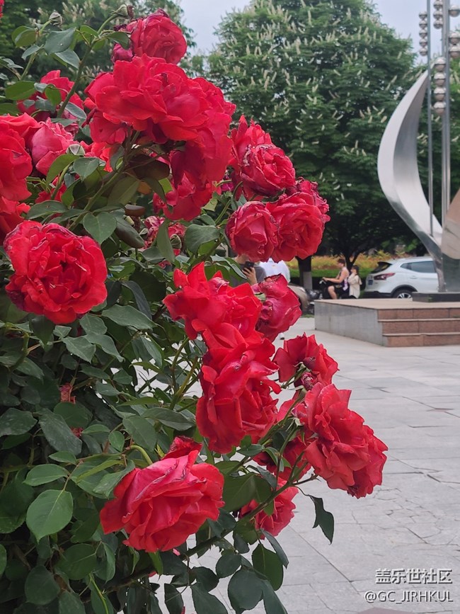 【擁抱自然】在日常中與自然的親密接觸