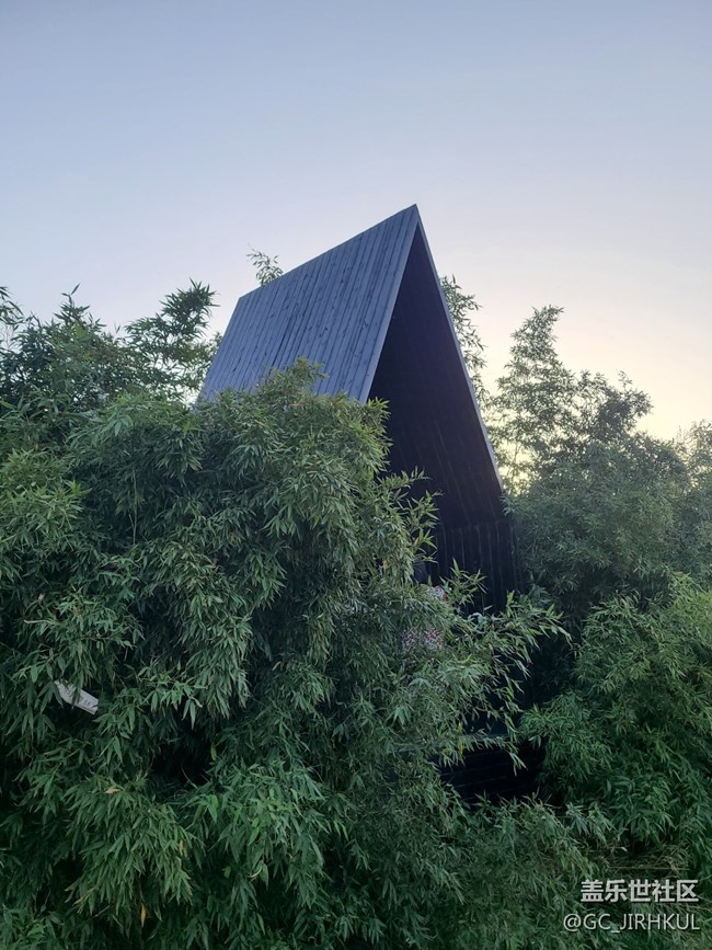 【擁抱自然】在日常中與自然的親密接觸