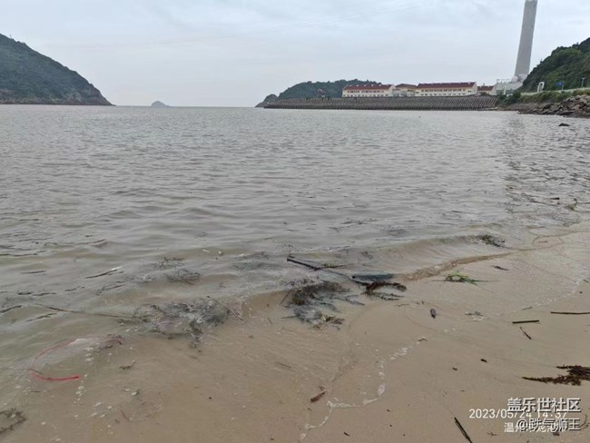 【歡樂一刻】海灘