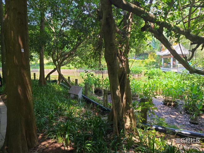 【歡樂一刻】爬山去啊