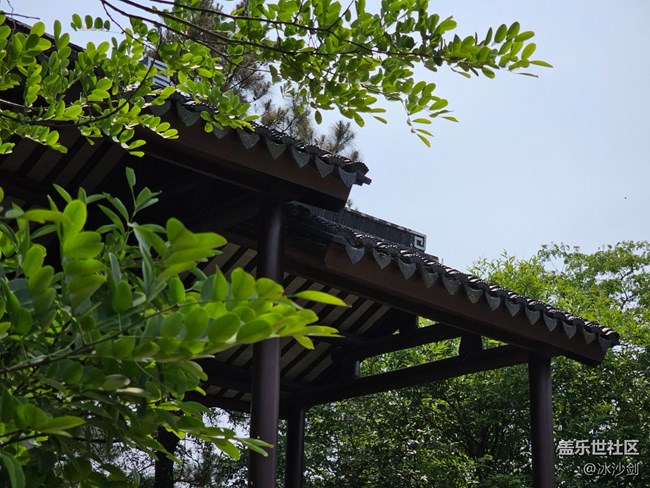 【出游記】+隨手拍