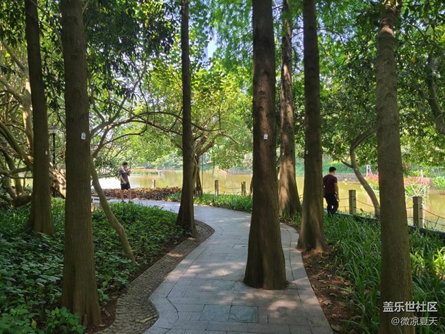 【歡樂一刻】爬山去啊