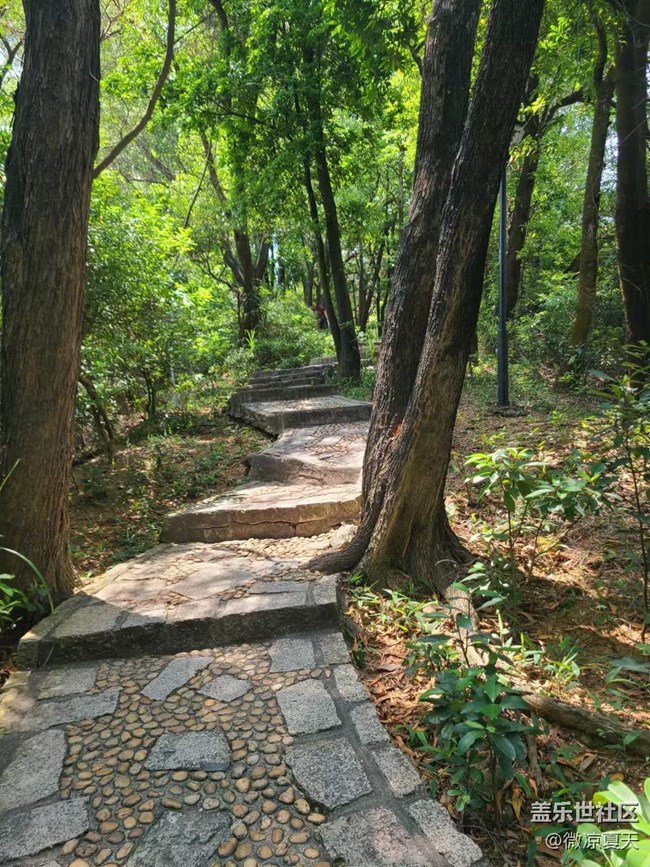 【歡樂一刻】爬山去啊