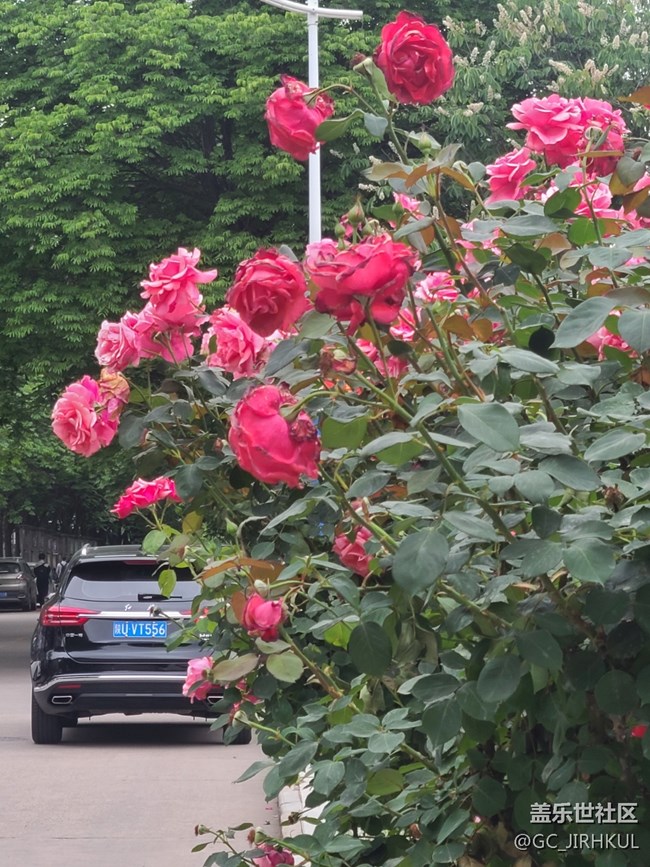 【擁抱自然】在日常中與自然的親密接觸