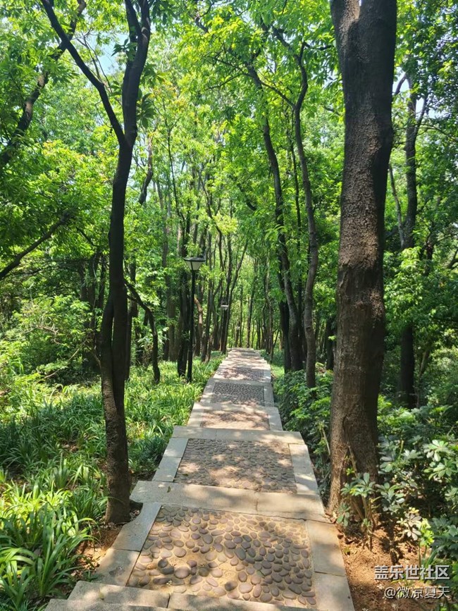 【歡樂一刻】爬山去啊