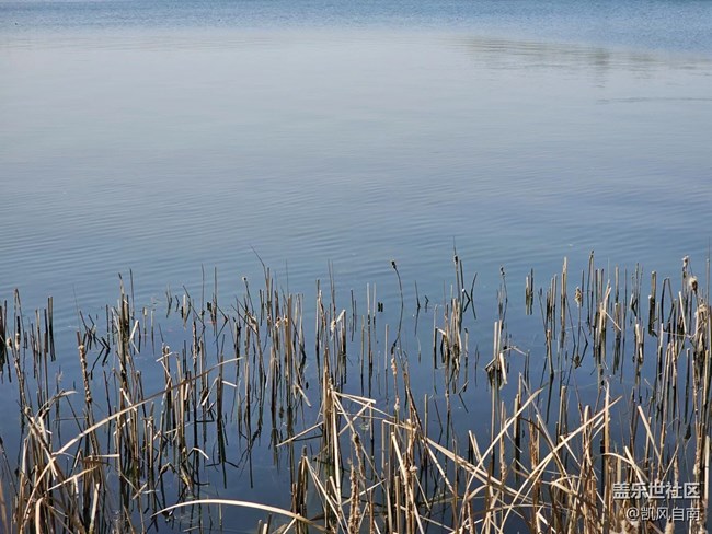 沈陽(yáng)星部落23年第17場(chǎng)線下活動(dòng) —— 品鑒A54&風(fēng)光攝影活動(dòng) 沈陽(yáng)星部落23年第17場(chǎng)線下活動(dòng) —— 品鑒A54&風(fēng)光攝影活動(dòng)