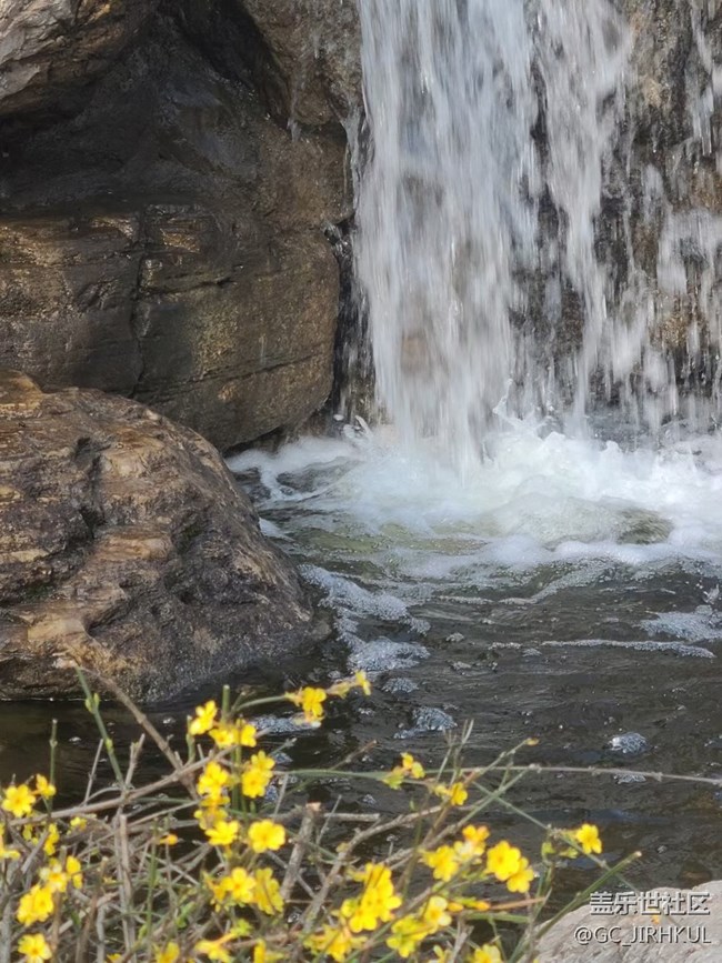 【擁抱自然】在日常中與自然的親密接觸