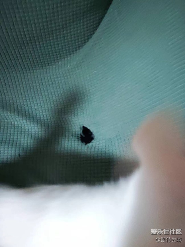 【歡樂一刻】傻貓仔