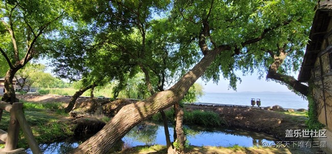 【擁抱自然】溪水清冷，鳥(niǎo)語(yǔ)嬋鳴