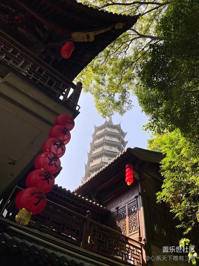 【擁抱自然】溪水清冷，鳥(niǎo)語(yǔ)嬋鳴